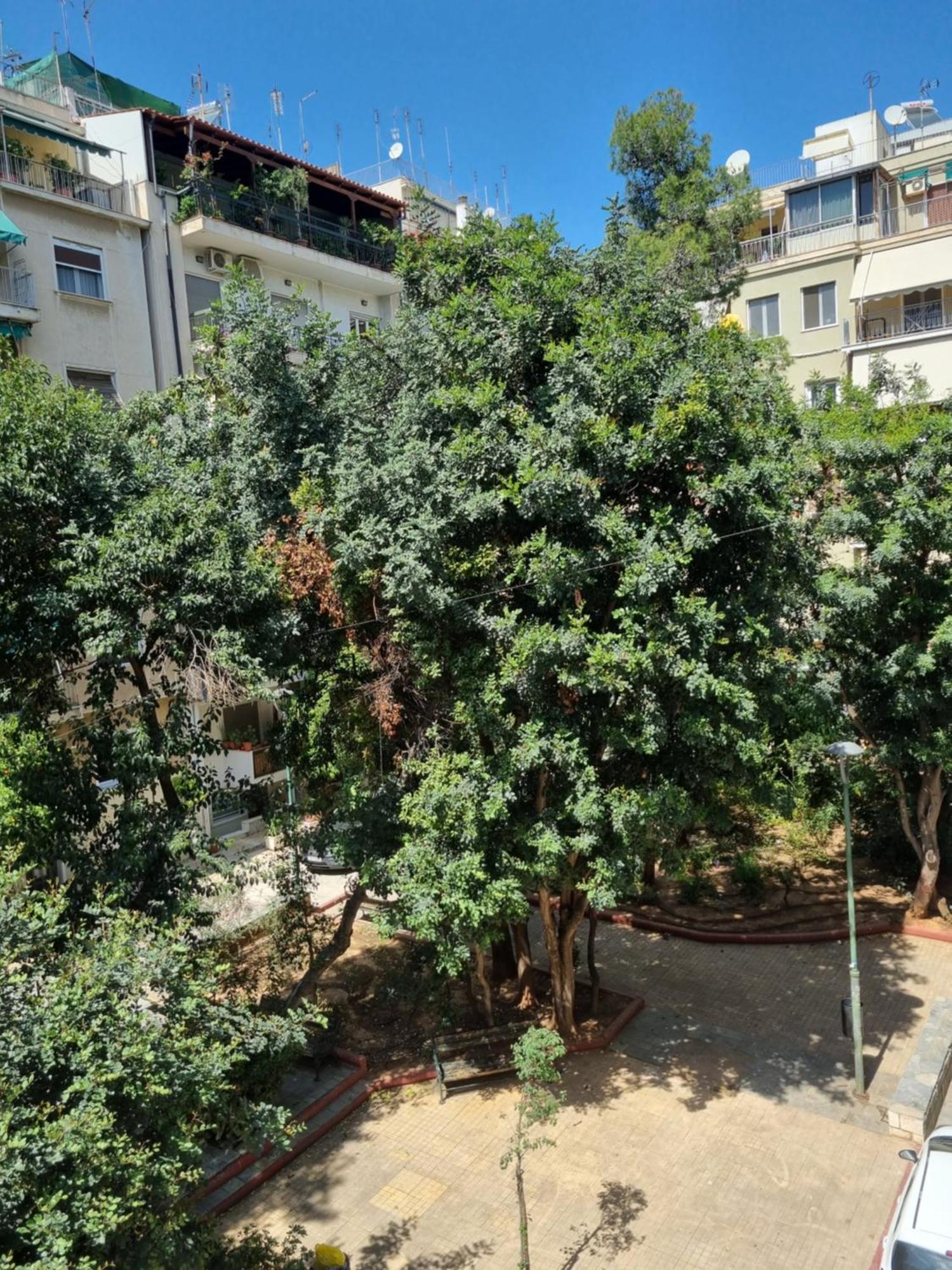 Park View Near Panormou * Athens